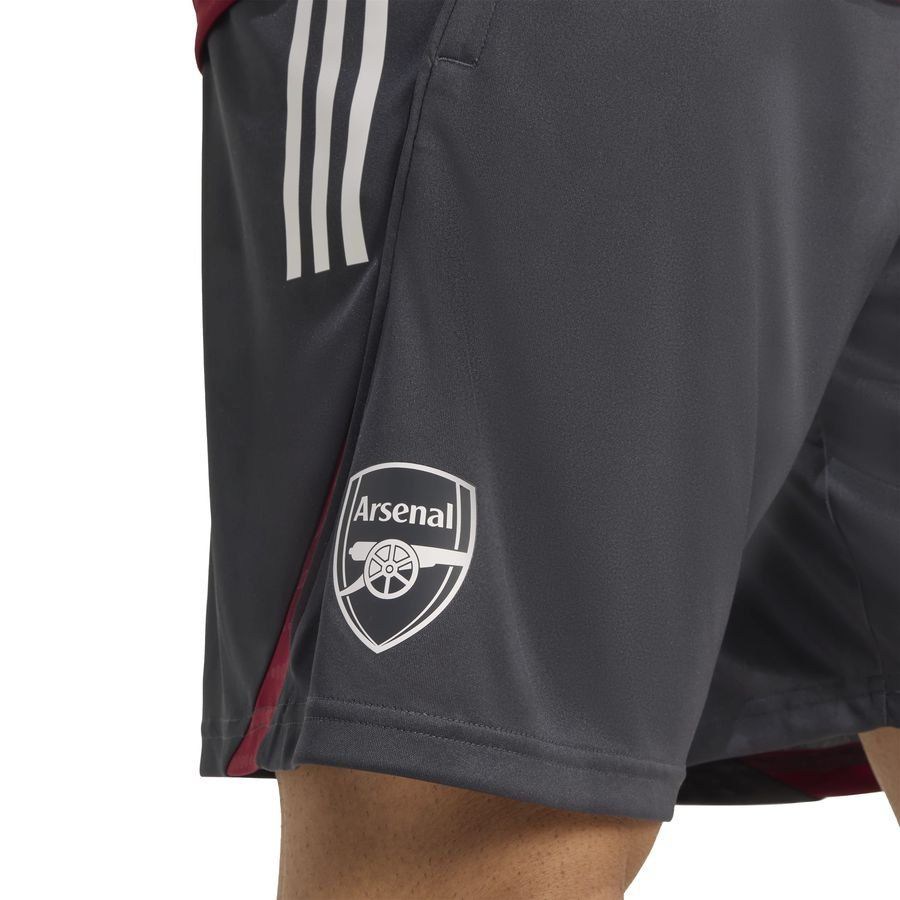 Arsenal Shorts Tiro EU Dark Grey/Collegiate 25 Training Burgundy Kit