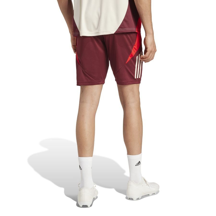 Bayern München Shorts Tiro EU Shadow Red/Red 24 Training Jersey