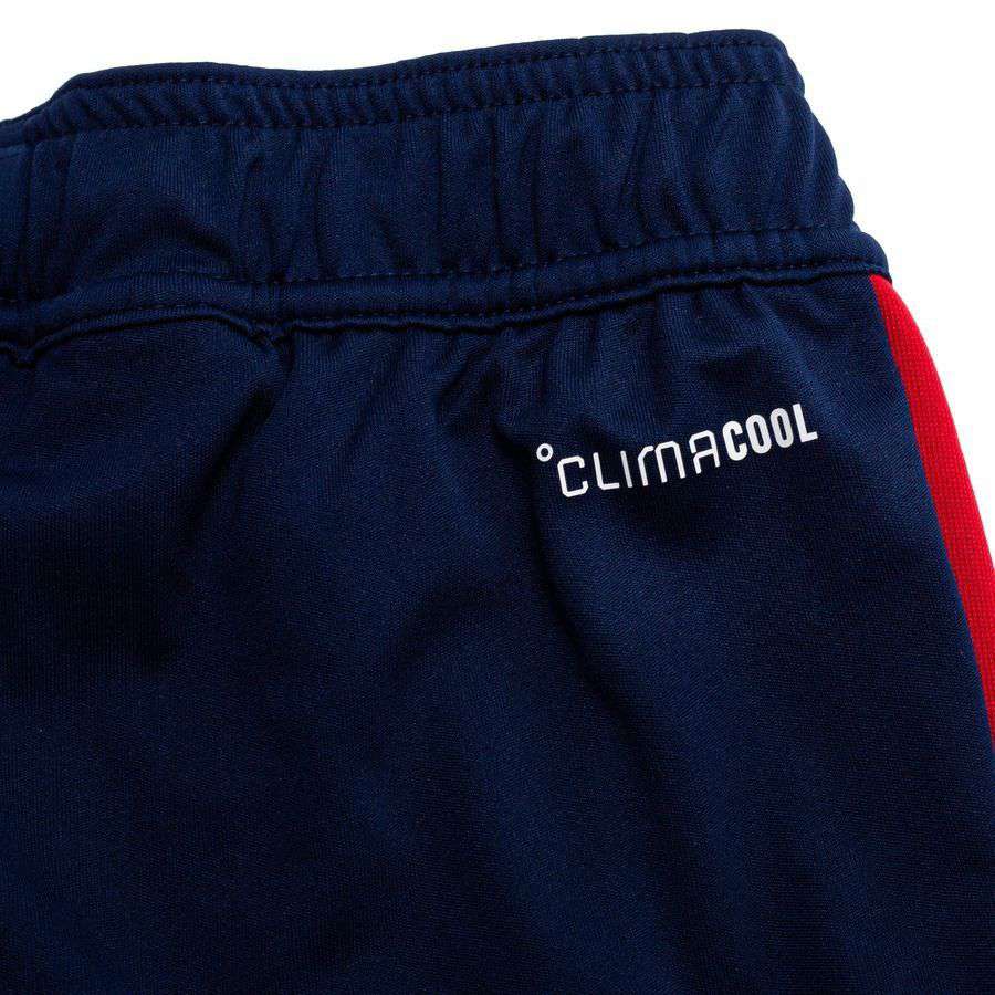 Bayern München Shorts Tiro Night Indigo/Preloved Ink 26 Training Uniform
