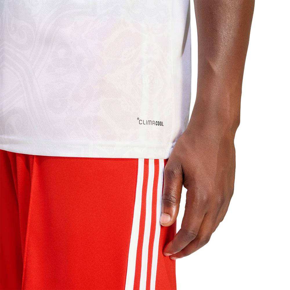 Benfica Away Kit 26/27