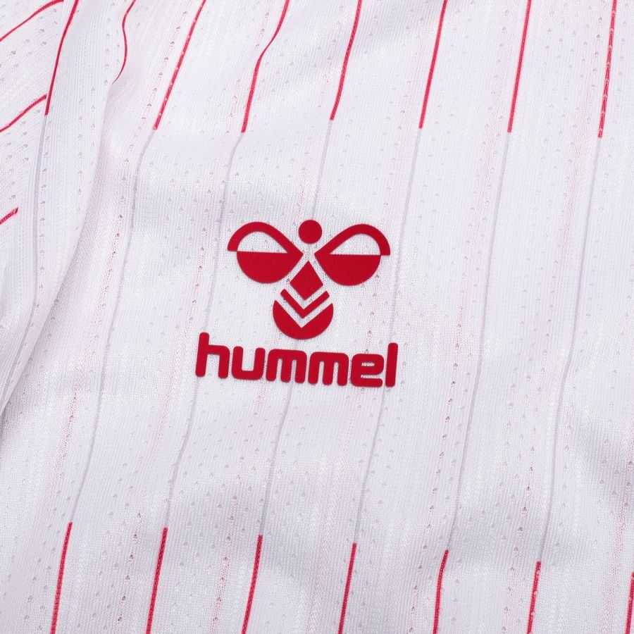 Denmark Pro Long Sleeves Away Kit 2026/27