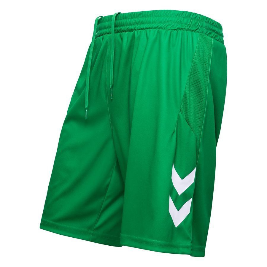 Denmark Shorts Goalkeeper Uniform 2023/24