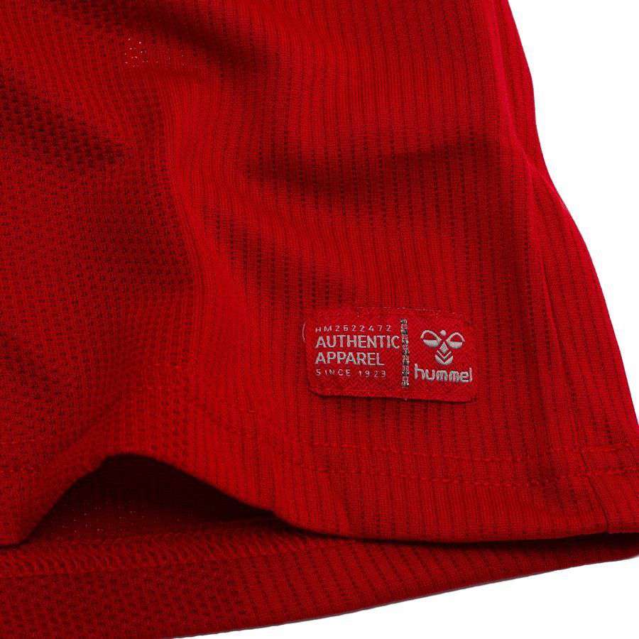 Denmark Pro Player Edition Home Jersey 2026/27