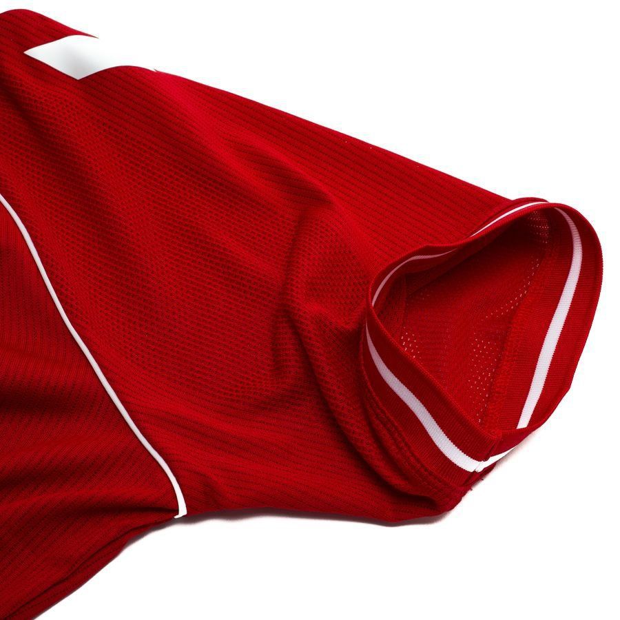 Denmark Pro Player Edition Home Jersey 2026/27