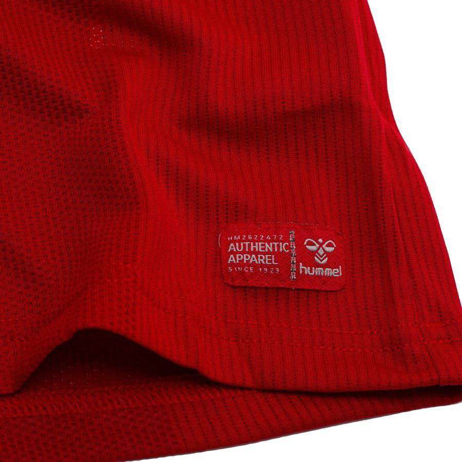 Denmark Pro Player Edition FROHOLDT 12 Home Apparel 2026/27
