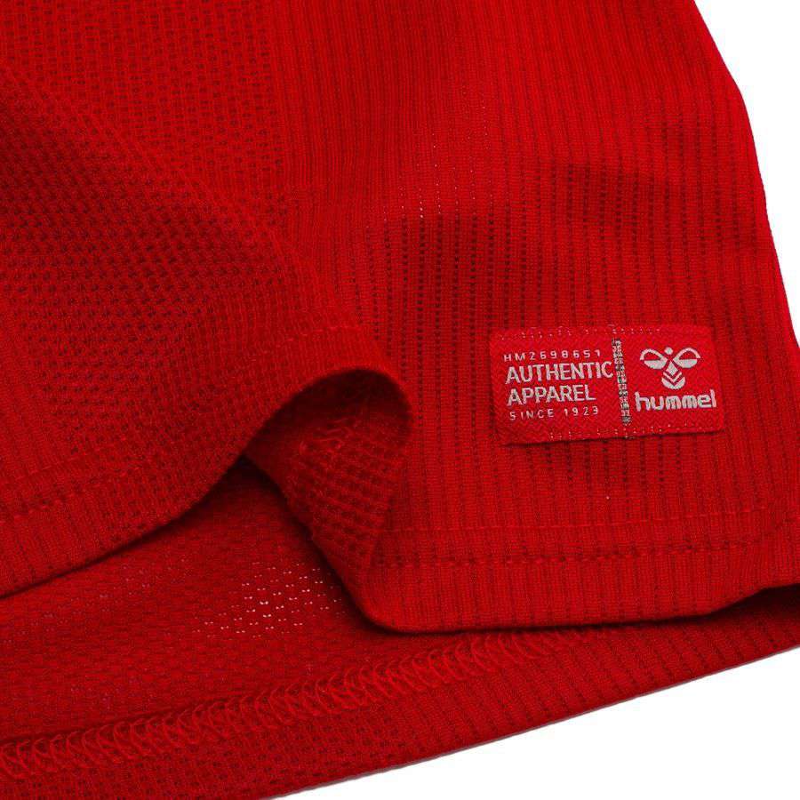 Denmark Pro Player Edition Long Sleeves Home Kit 2026/27