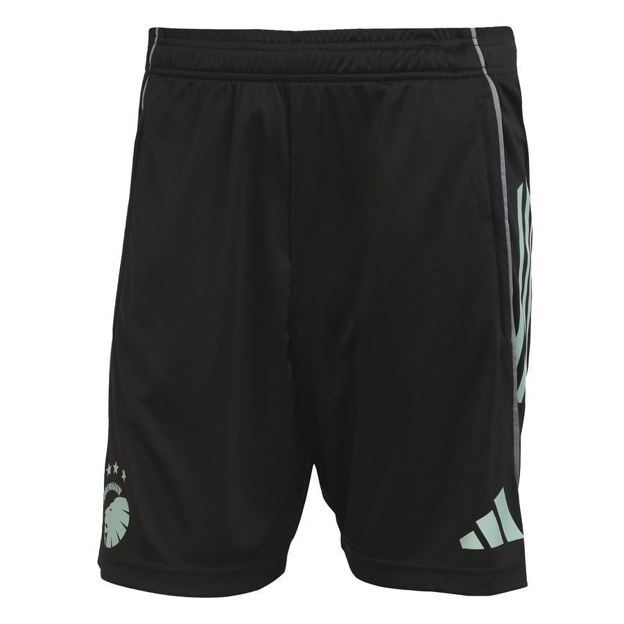 FC Copenhagen Shorts Tiro Black/Onix/st Fade Ocean 25 Training Apparel