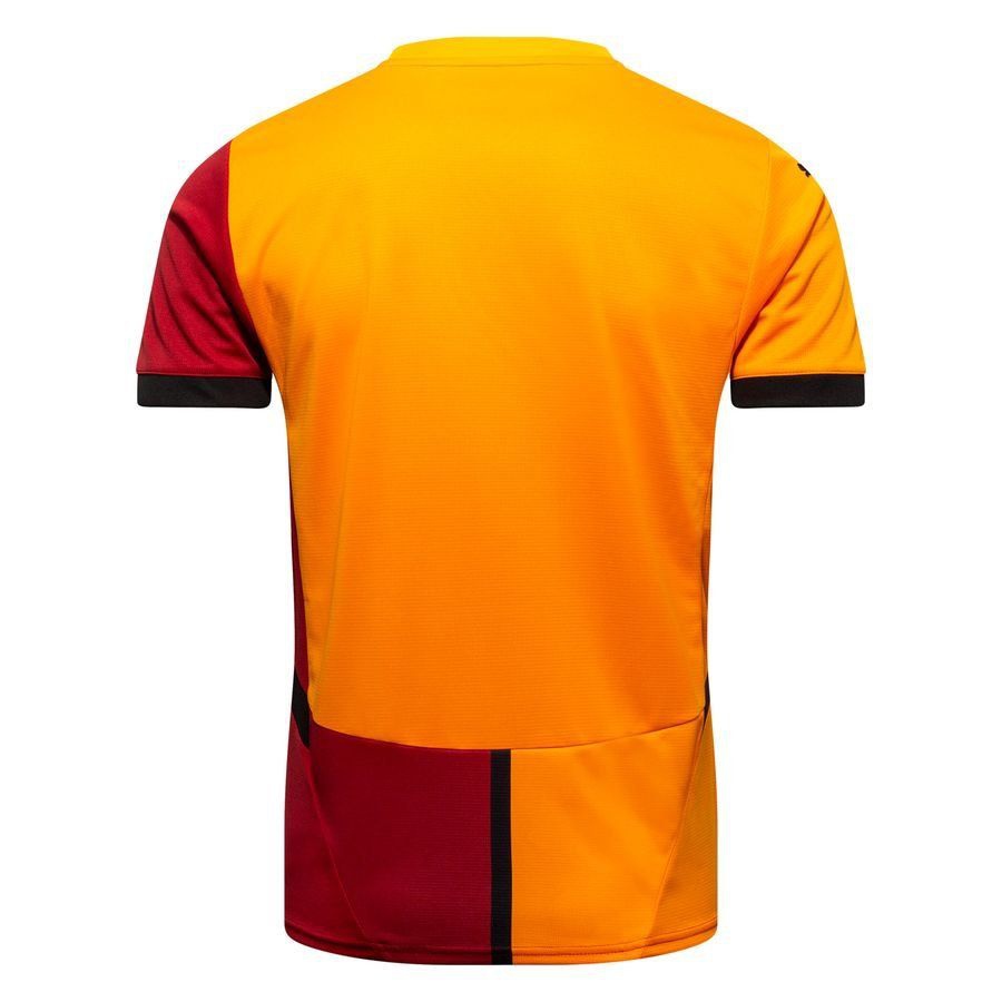 Galatasaray Home Apparel 2024/25