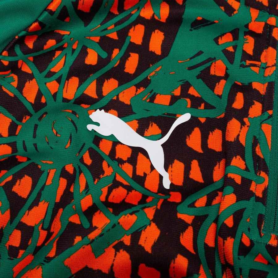 2026 Ivory Coast Pre Match Zip World Cup Sport Green/Brown Training Kit 1/4