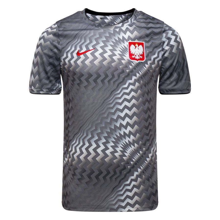 Poland Dri FIT Academy Pro Pre Match Pure Platinum/Cool Grey/Sport Training Red