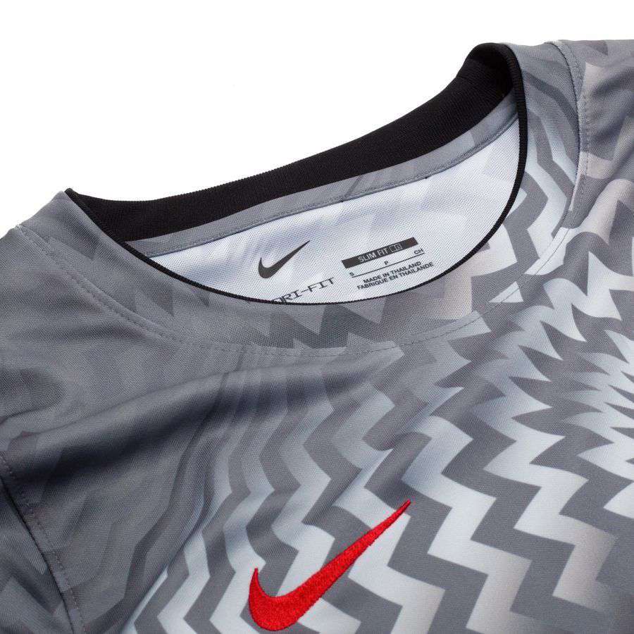Poland Dri FIT Academy Pro Pre Match Pure Platinum/Cool Grey/Sport Training Red