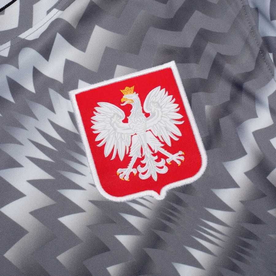 Poland Dri FIT Academy Pro Pre Match Pure Platinum/Cool Grey/Sport Training Red