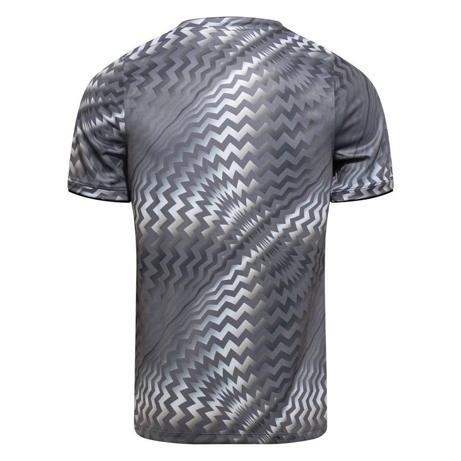 Poland Dri FIT Academy Pro Pre Match Pure Platinum/Cool Grey/Sport Training Red