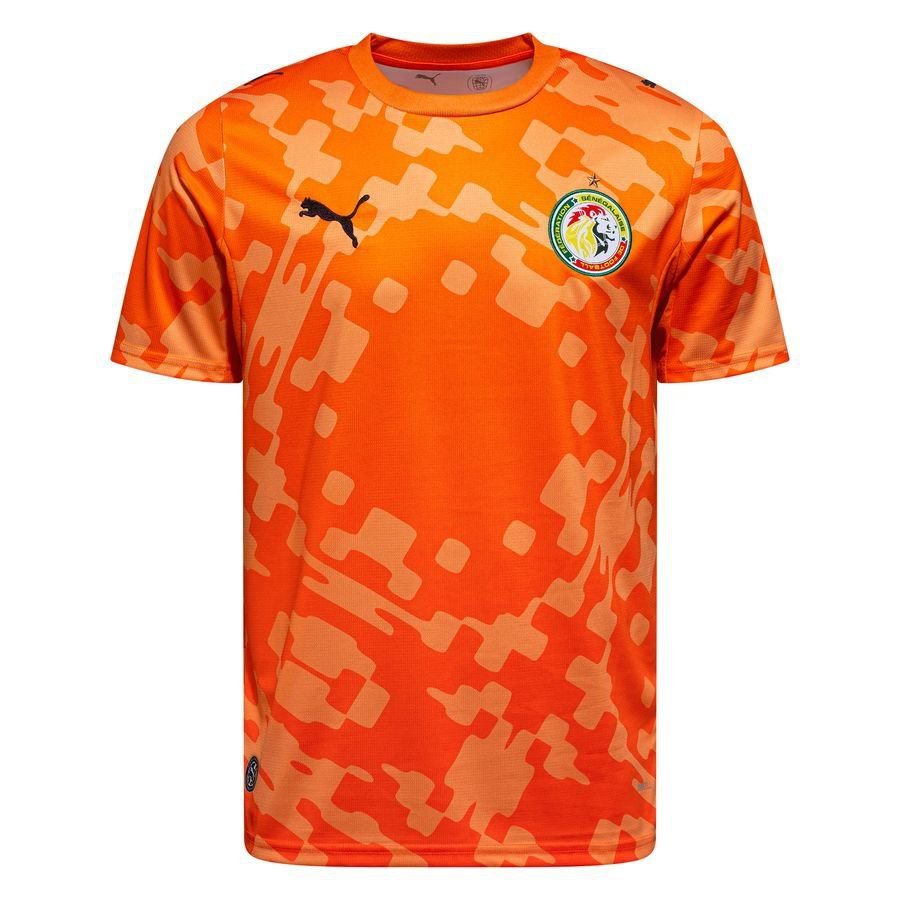 2026 Senegal WC Goalkeeper Kit