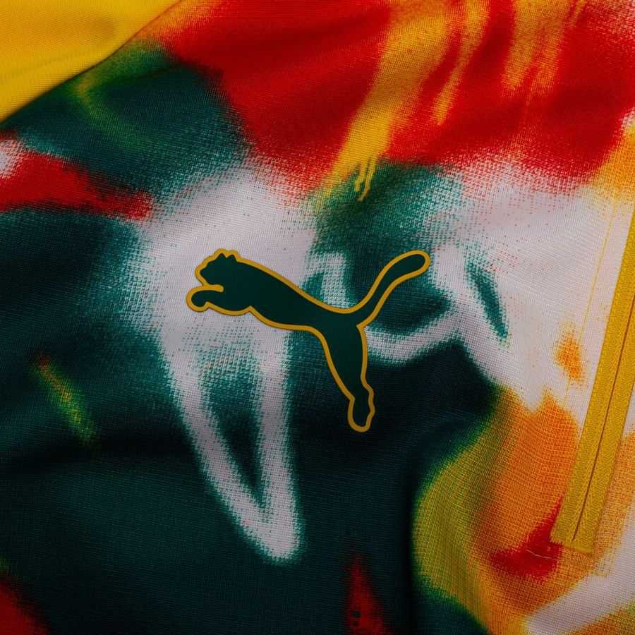 2026 Senegal Pre Match Zip World Cup Yellow/Green/Multicolor Training Jersey 1/4