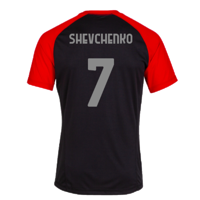 2023-2024 AC Milan Casuals Tee (Black) (Shevchenko 7)-ly44