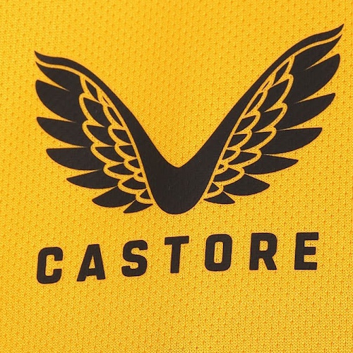 Castore Wolves Kits Released Leaked 21 22 Home Goalkeeper Away Training Kit & +