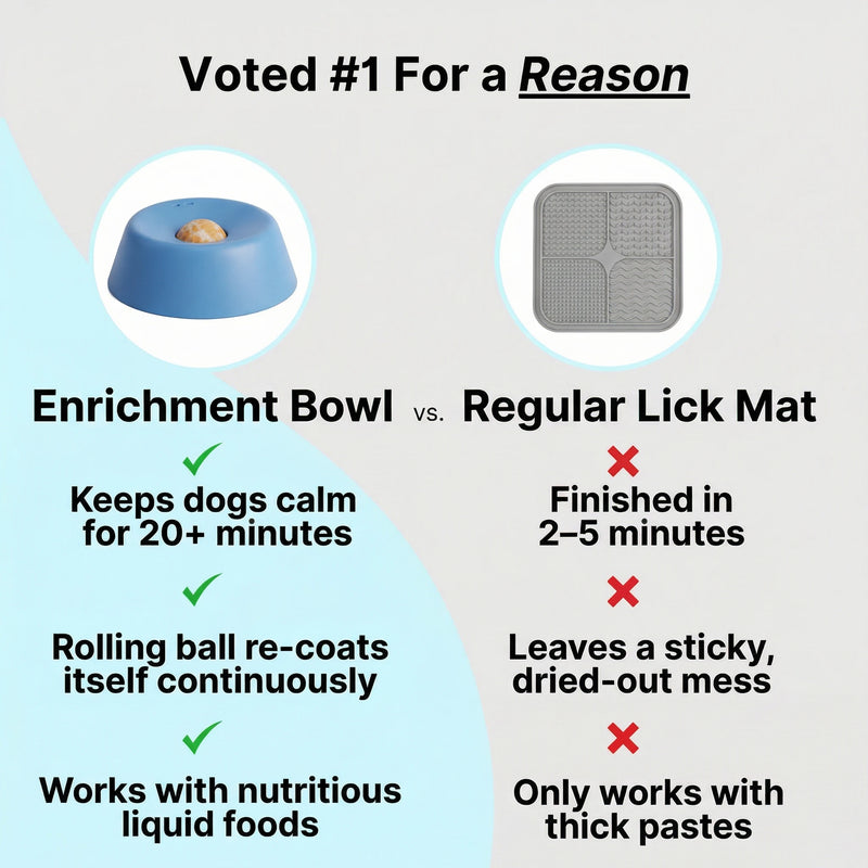 Enrichment Bowl