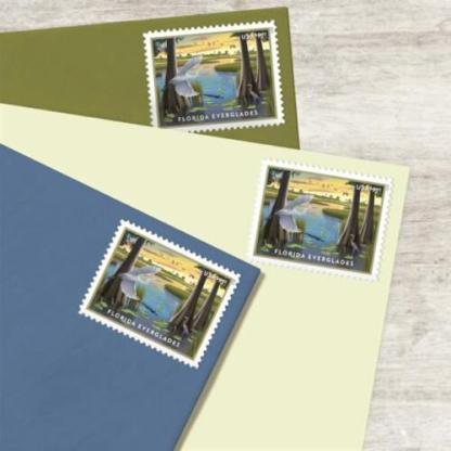 US 2023 Florida Everglades "Priority Mail"