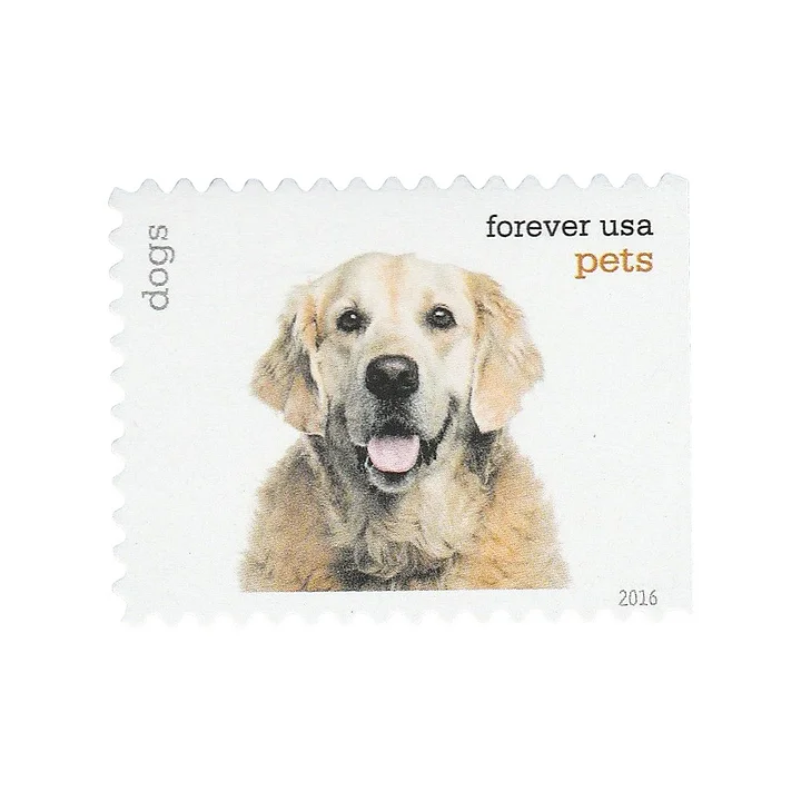 Pets. 2016