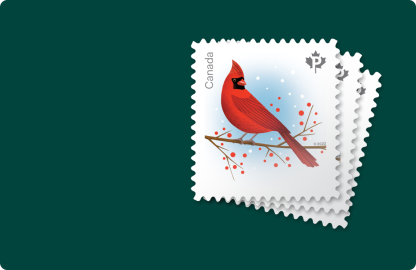Holiday Birds