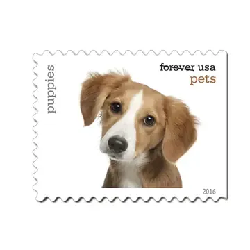 2016 Pets. Forever Stamps