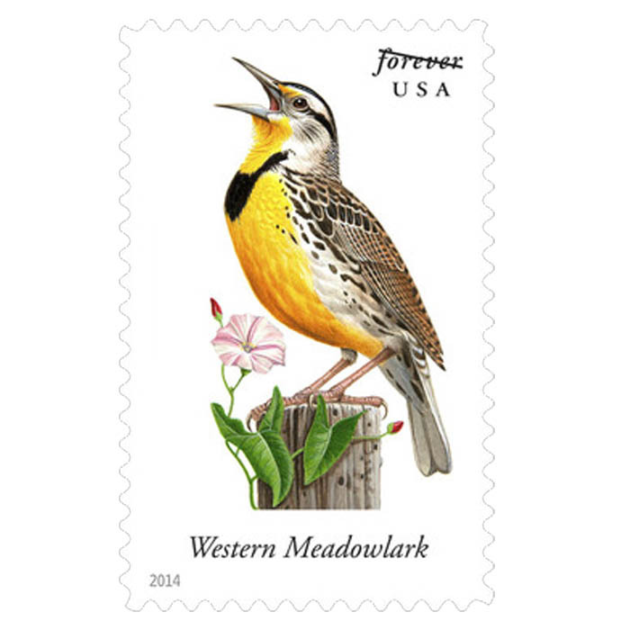 Songbirds Forever Stamps 2014