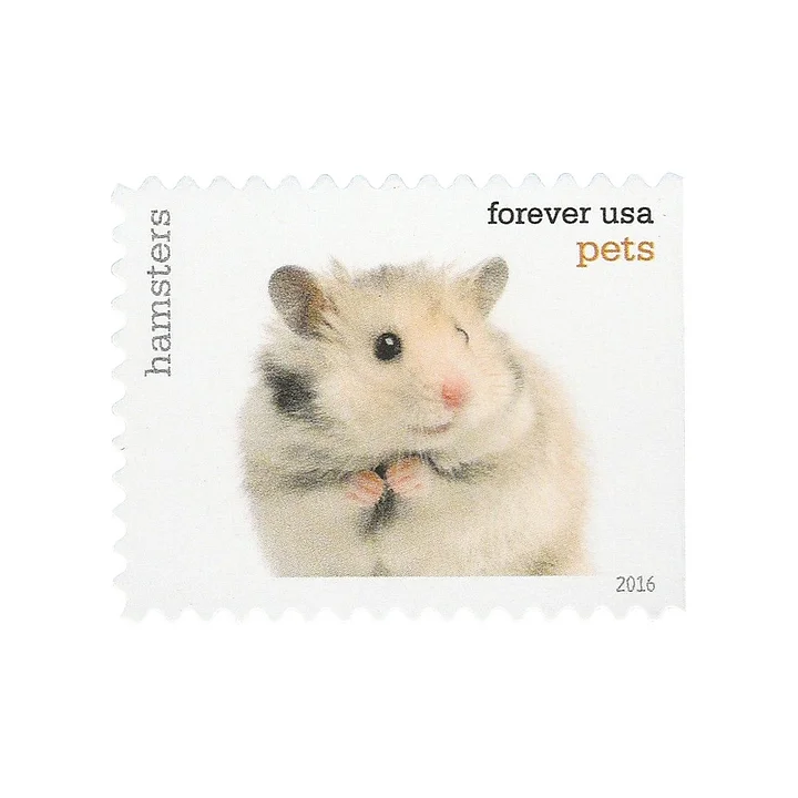 Pets. 2016