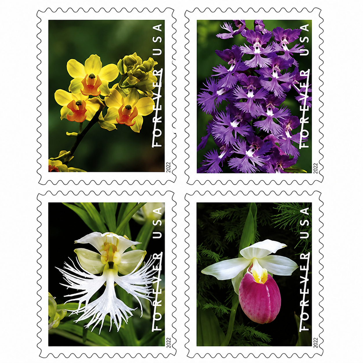 2020 Wild Orchids Forever Stamps