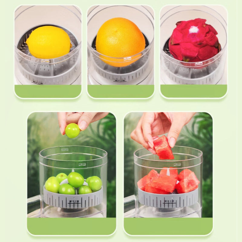 Quiet powerful motor portable juicer US