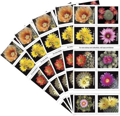 Cactus Flowers 2019