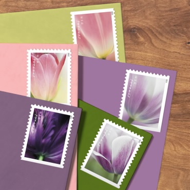Tulip Blossoms Forever Stamp