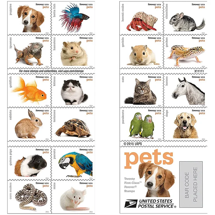 Pets. 2016