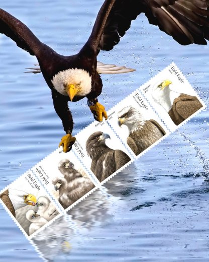 2026 Bald Eagle: Hatchling to Adult Forever Stamps