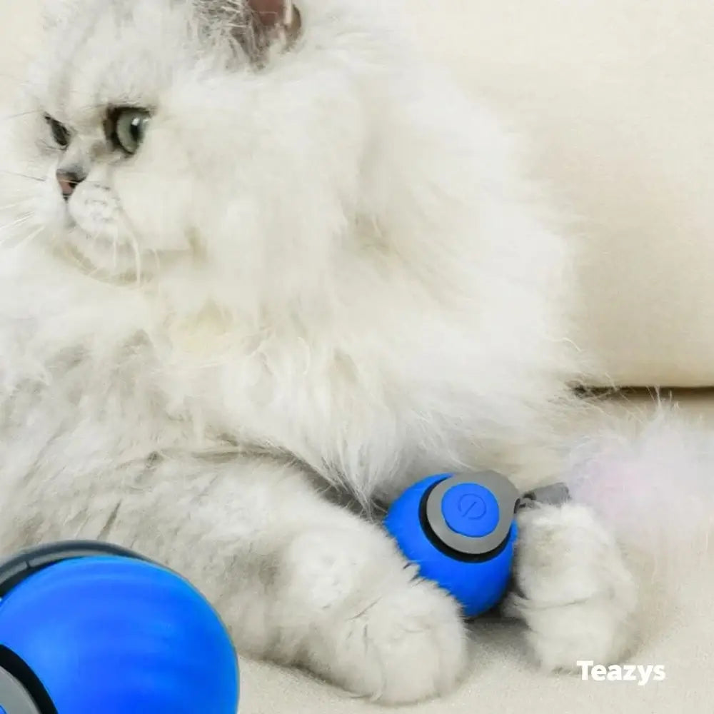 💥😸SPEEDY TAIL 2.0🐈