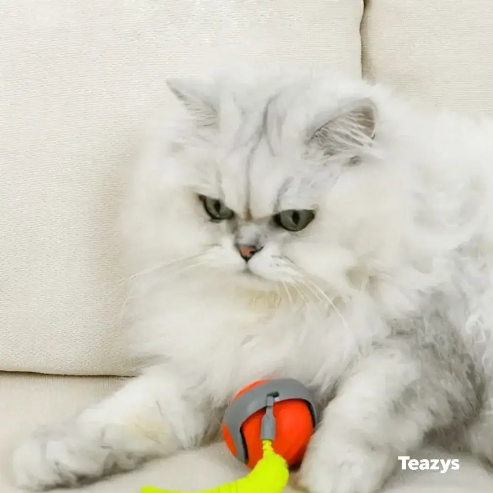 💥😸SPEEDY TAIL 2.0🐈