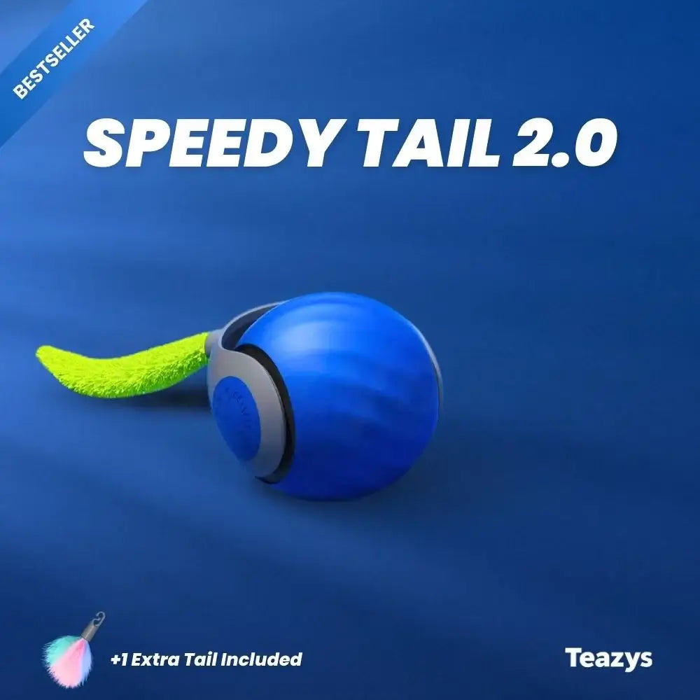 💥😸SPEEDY TAIL 2.0🐈