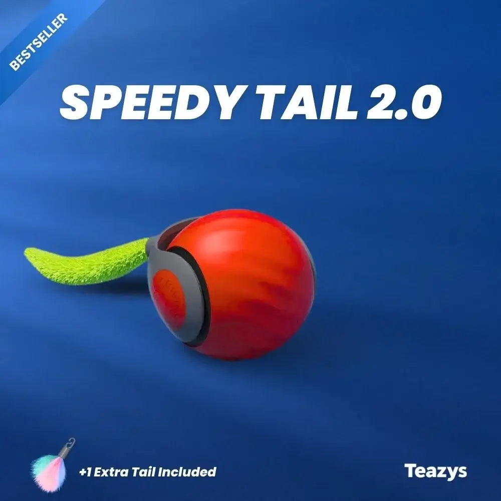 💥😸SPEEDY TAIL 2.0🐈