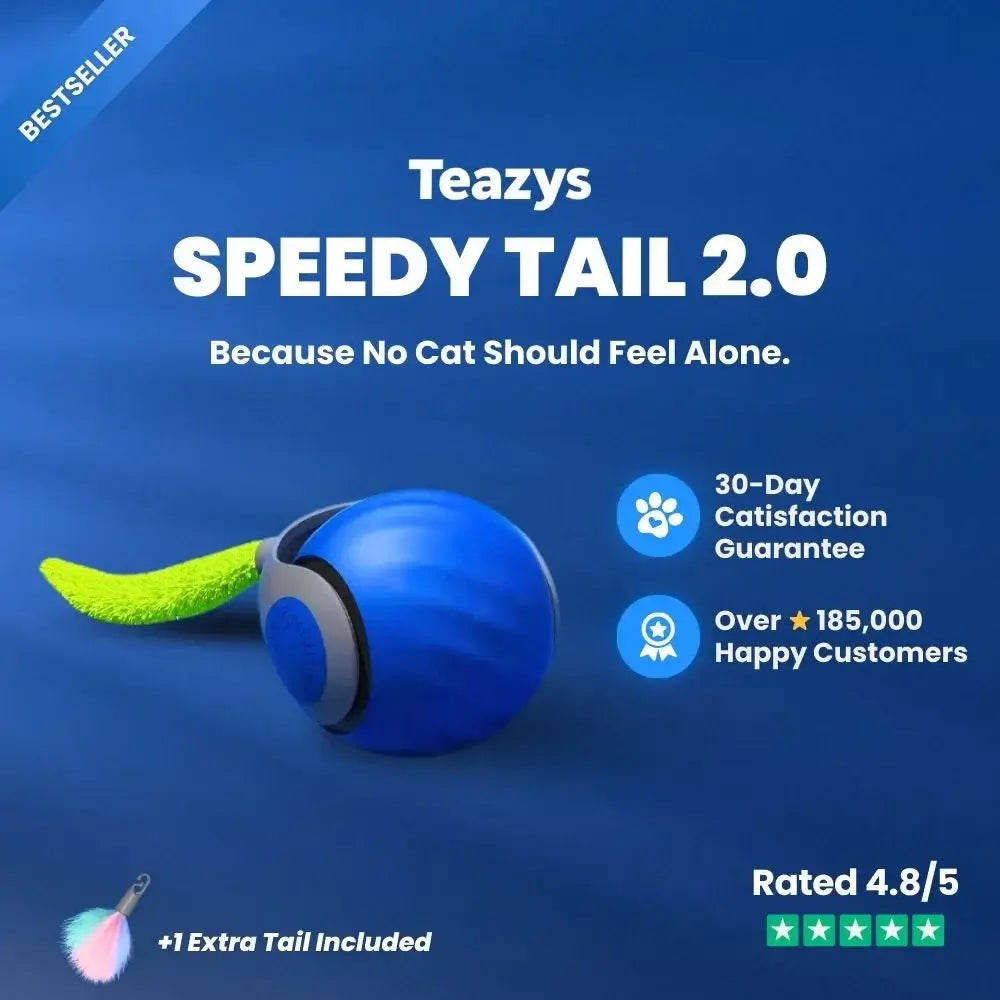 💥😸SPEEDY TAIL 2.0🐈