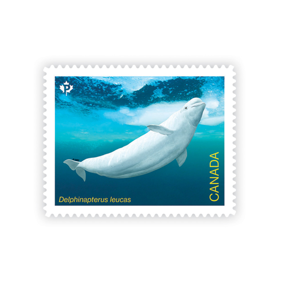 2022 Endangered Whales Stamps
