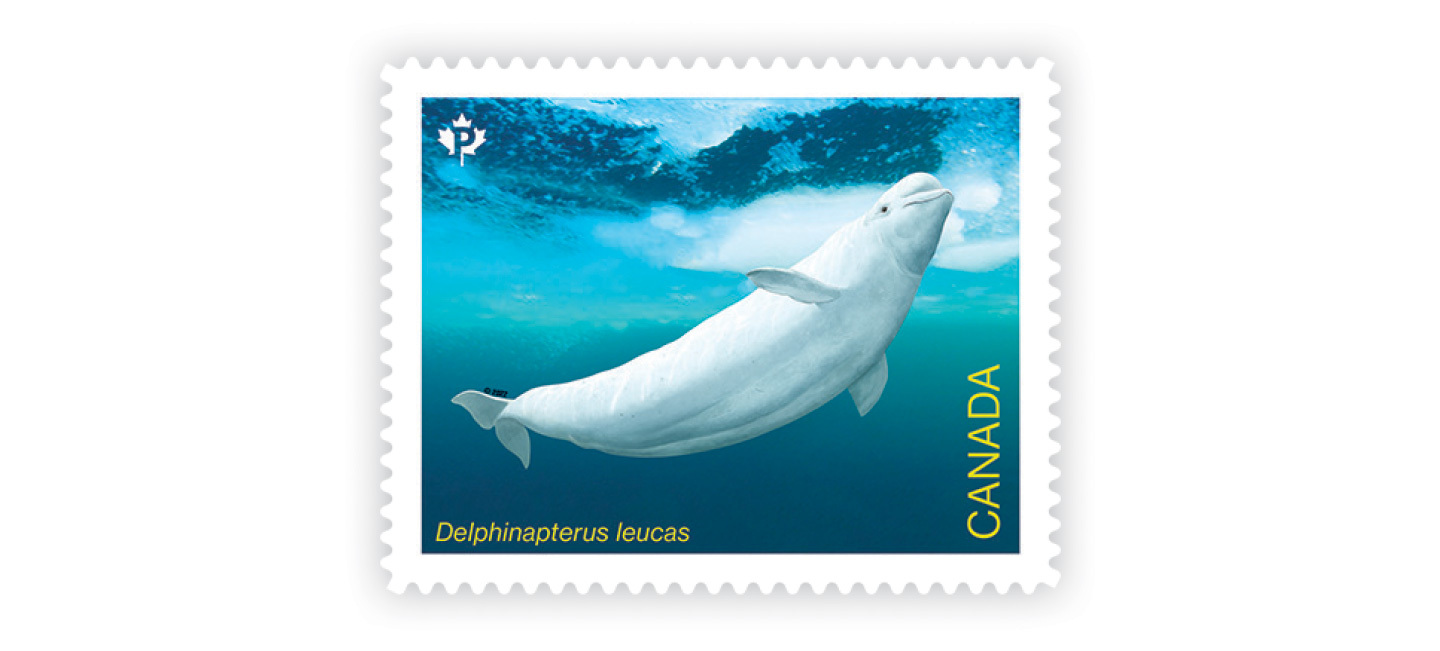 2022 Endangered Whales Stamps
