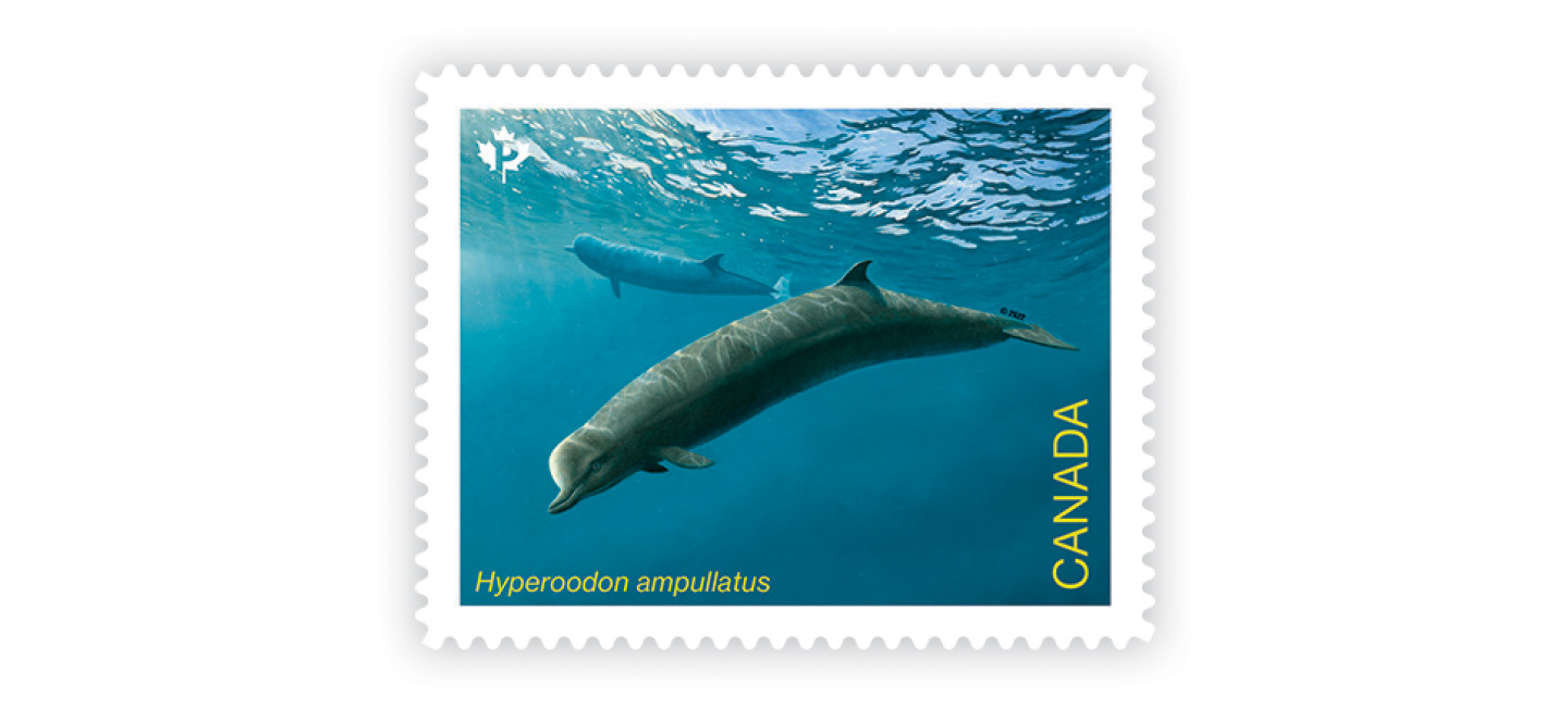 2022 Endangered Whales Stamps