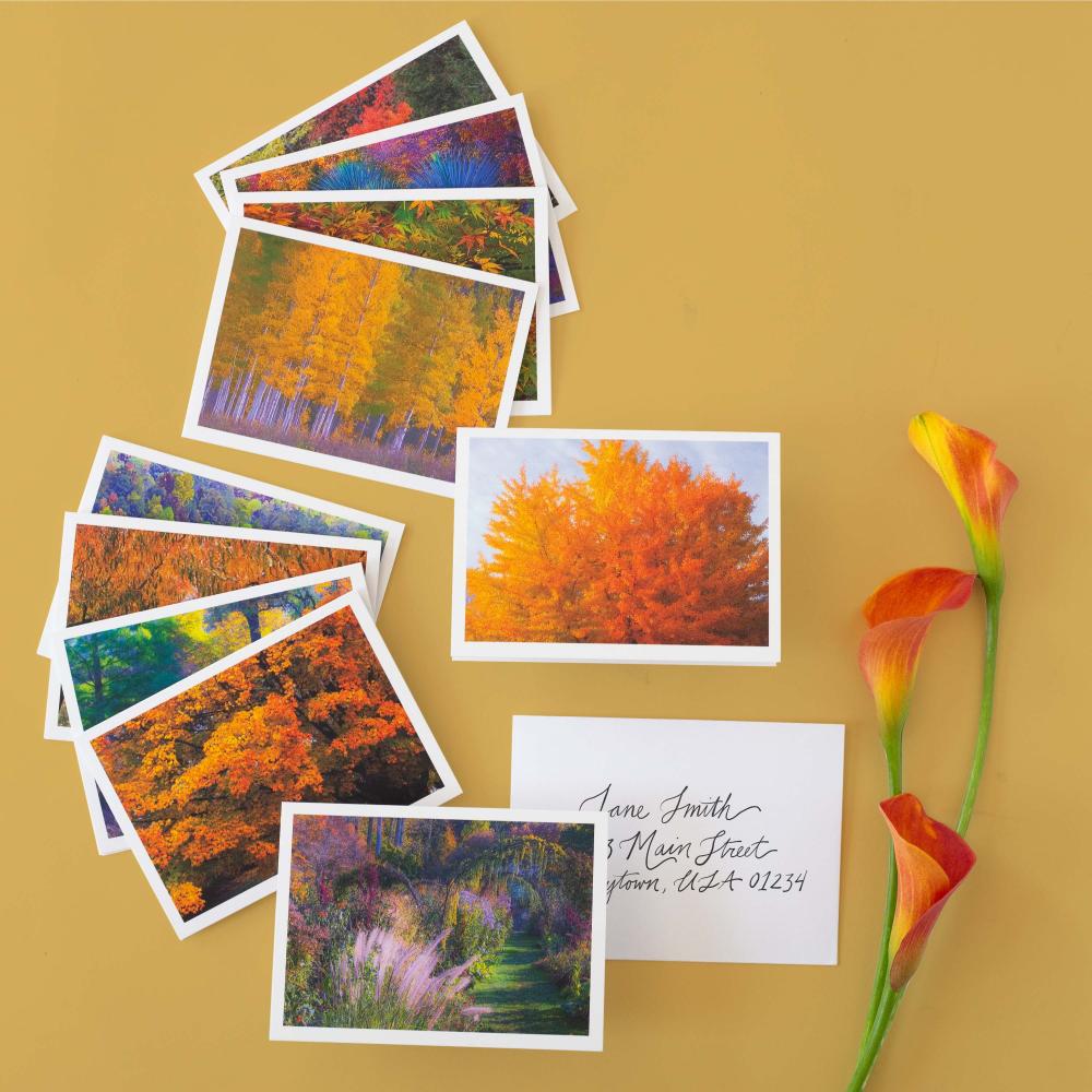 2024 Autumn Colors Forever Stamps