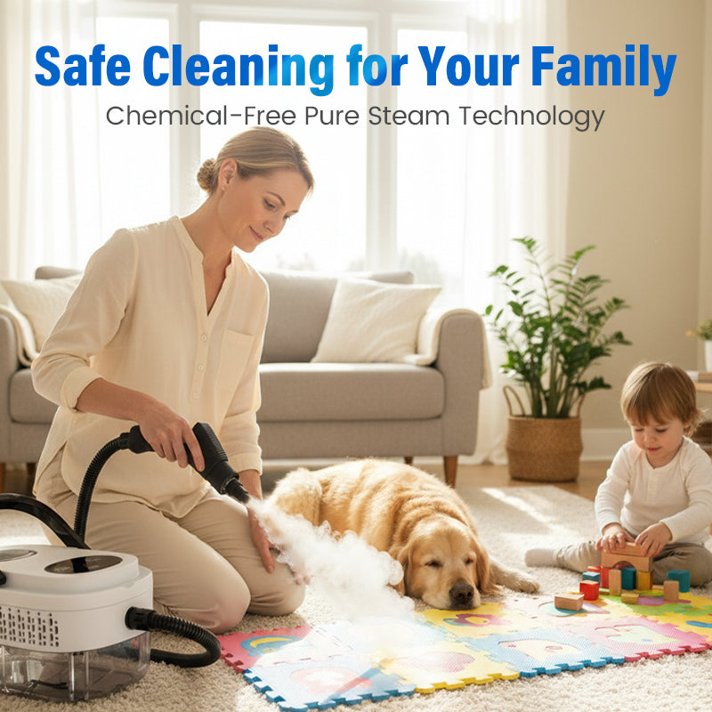 Large Water Tank Steam Cleaner