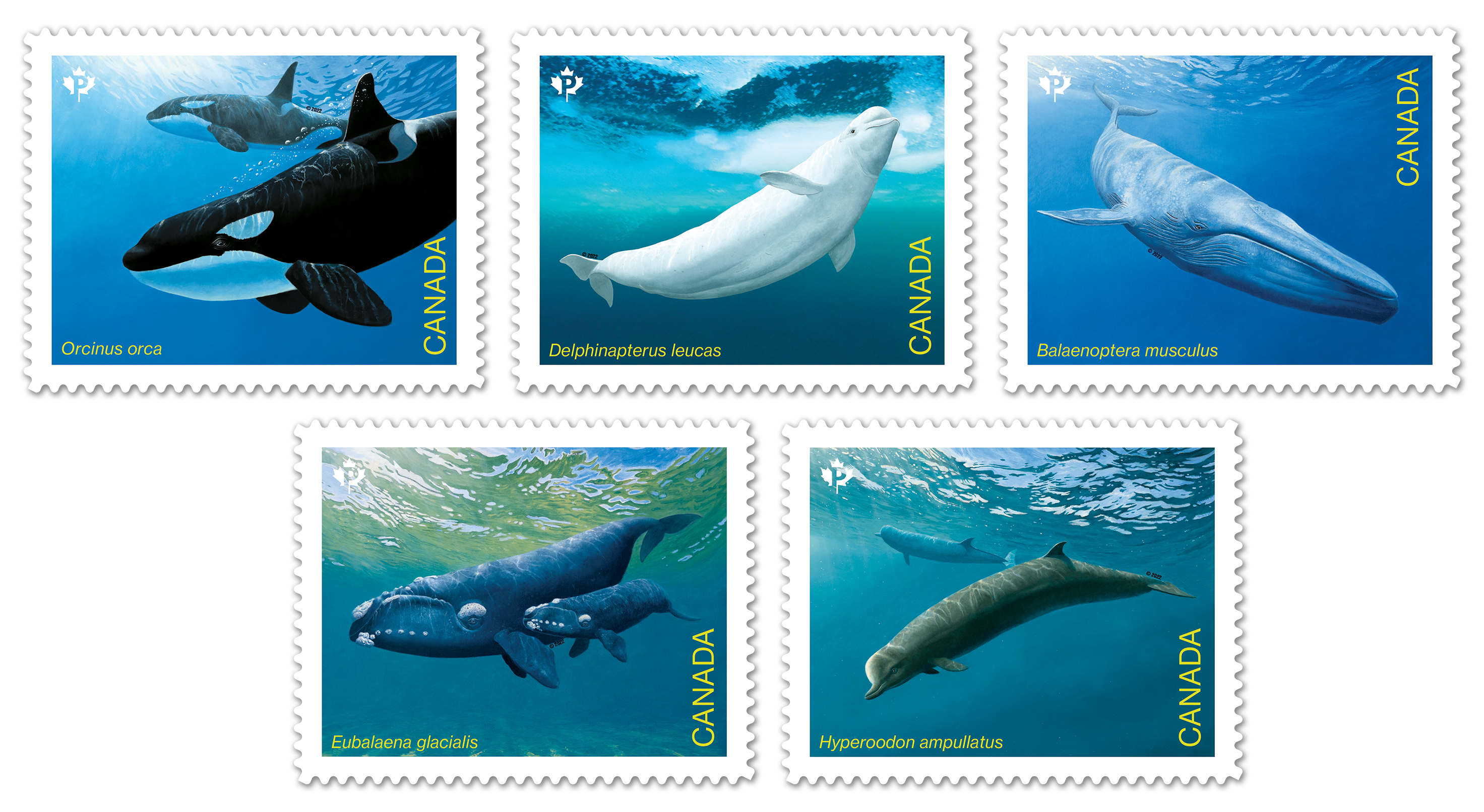 2022 Endangered Whales Stamps