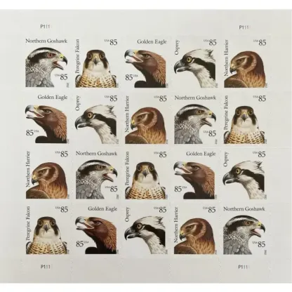 Birds of Prey 2012