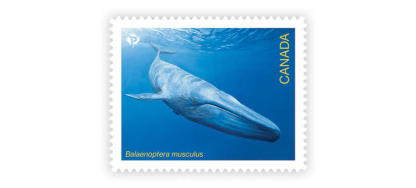 2022 Endangered Whales Stamps