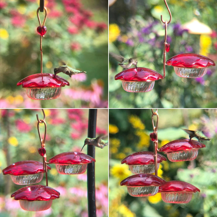 Hummingbird Petal Feeder