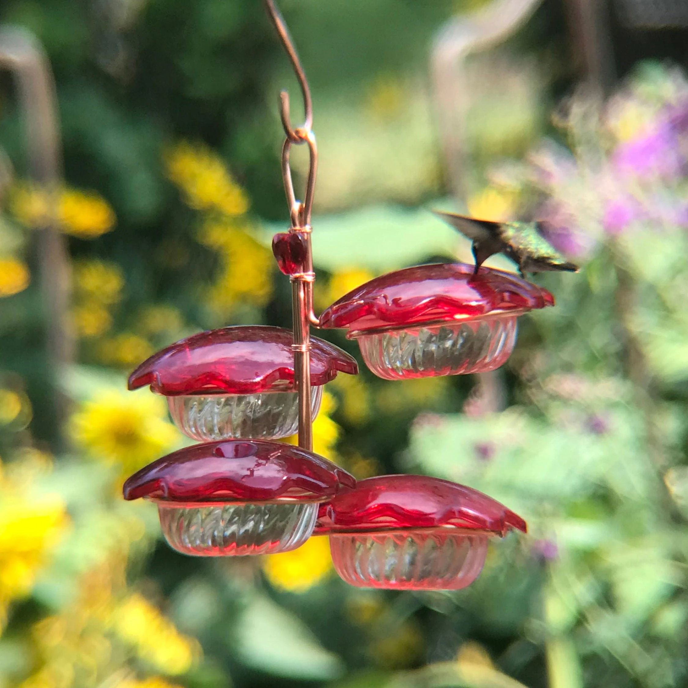 Hummingbird Petal Feeder