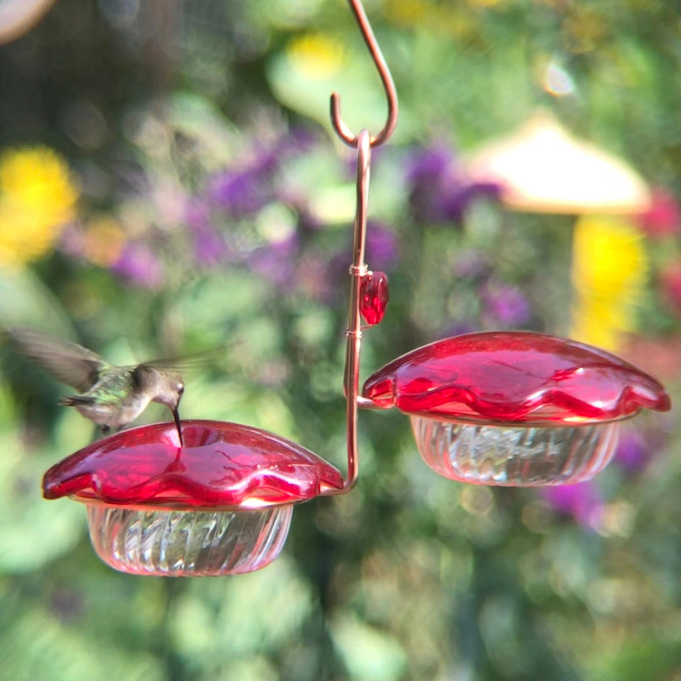 Hummingbird Petal Feeder